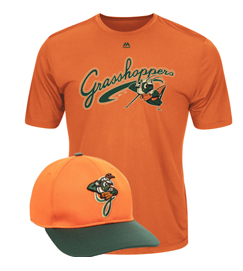 Minor League Baseball Uniforms